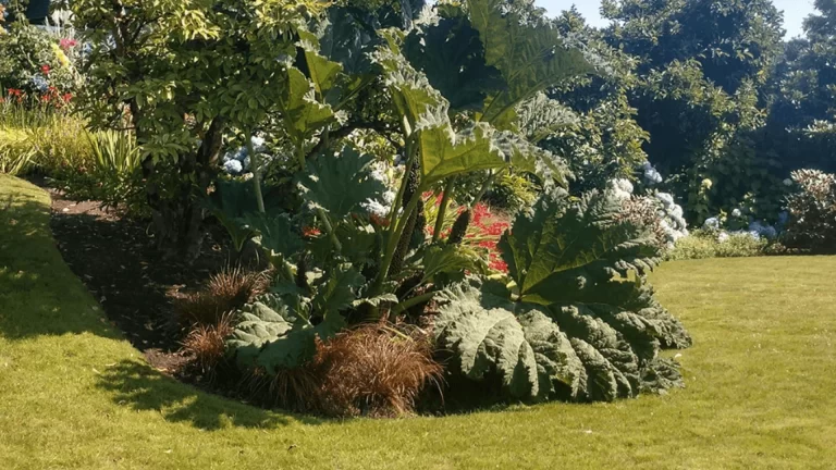 5 Signs It's Time for a Lawn Renovation in Your Everett Home reliable landscaping service