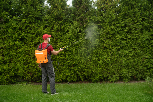 plant disease treatment in everett wa