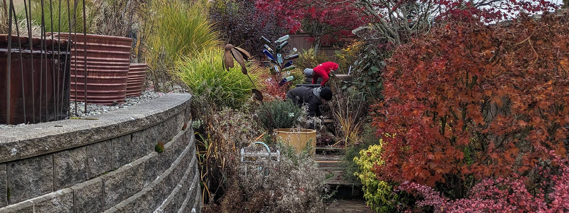 reliable lawn maintenance experts in everett