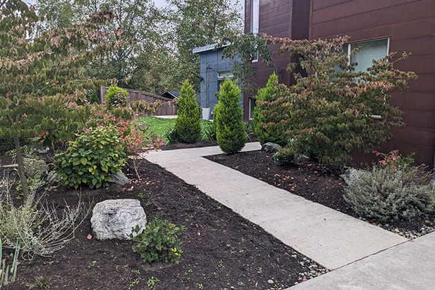professional lawn maintenance guide for everett