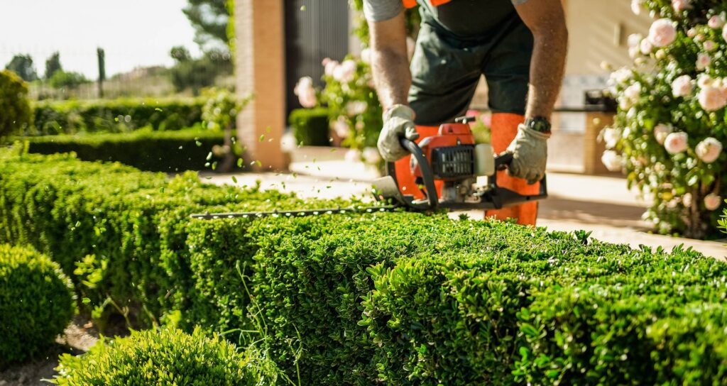 reliable pruning experts in pacific northwest