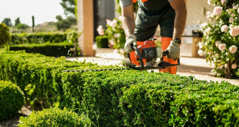 The Science of Proper Pruning: Why Timing and Technique Matter reliable pruning experts in pacific northwest