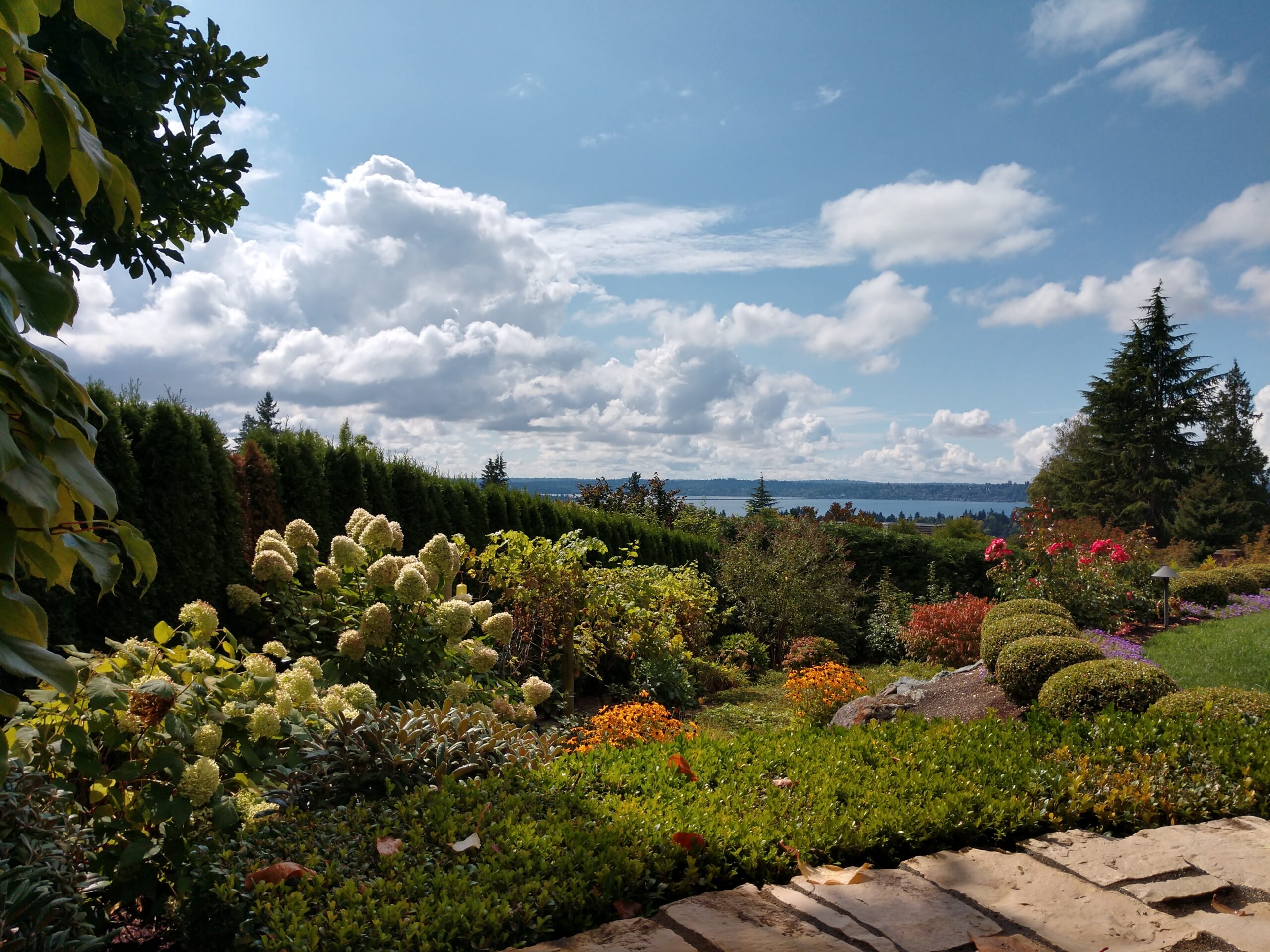 professional landscape maintenance in everett