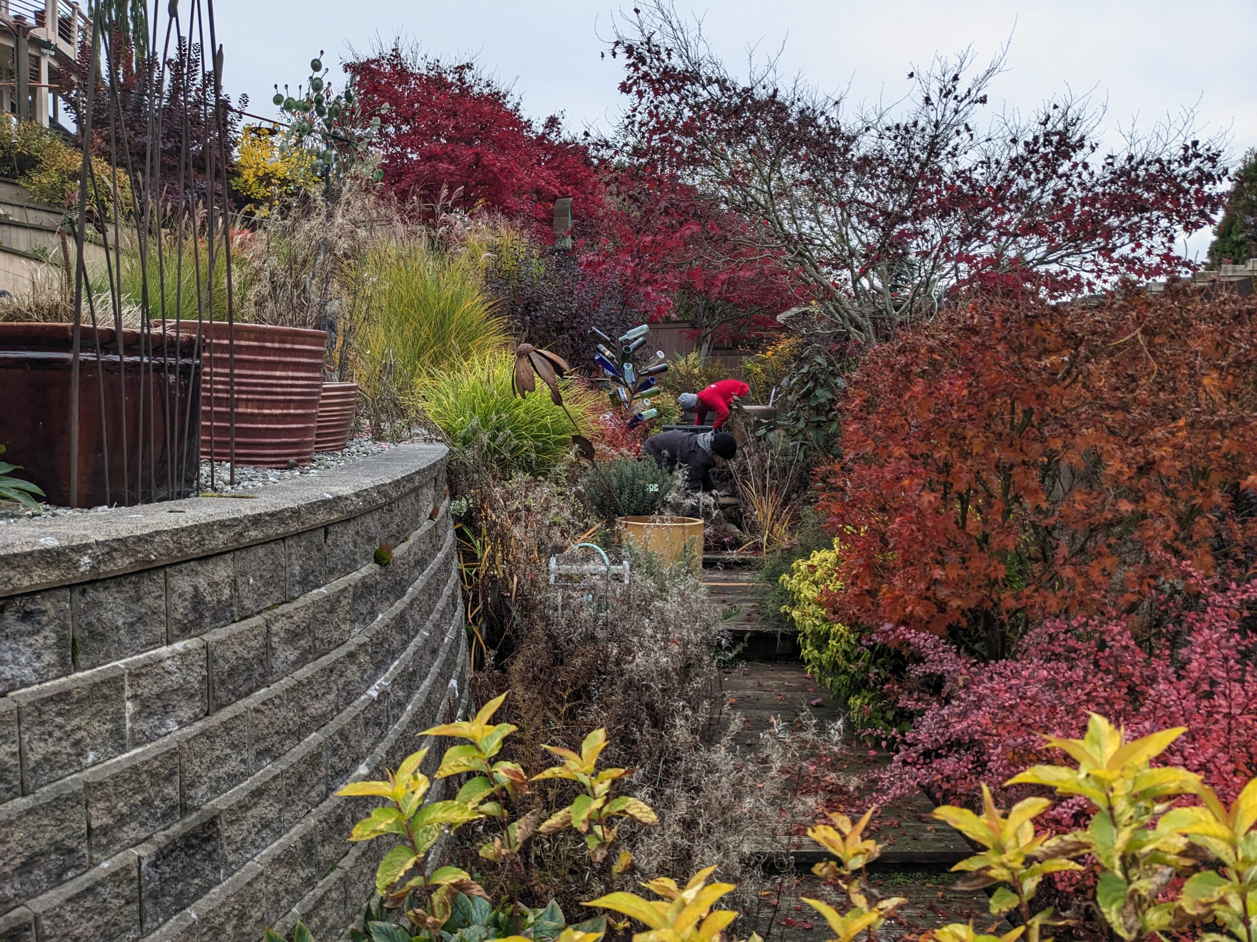 landscape maintenance experts in everett