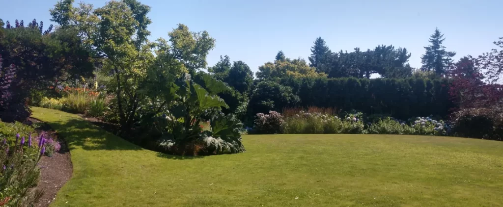 summer clean up services in wa