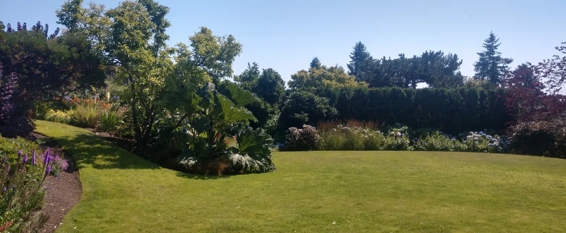 summer clean up services in wa