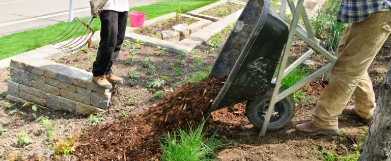 Best Times to Mulch in the PNW: Spring vs. Fall Strategies best times to mulch in the pnw spring vs fall strategies