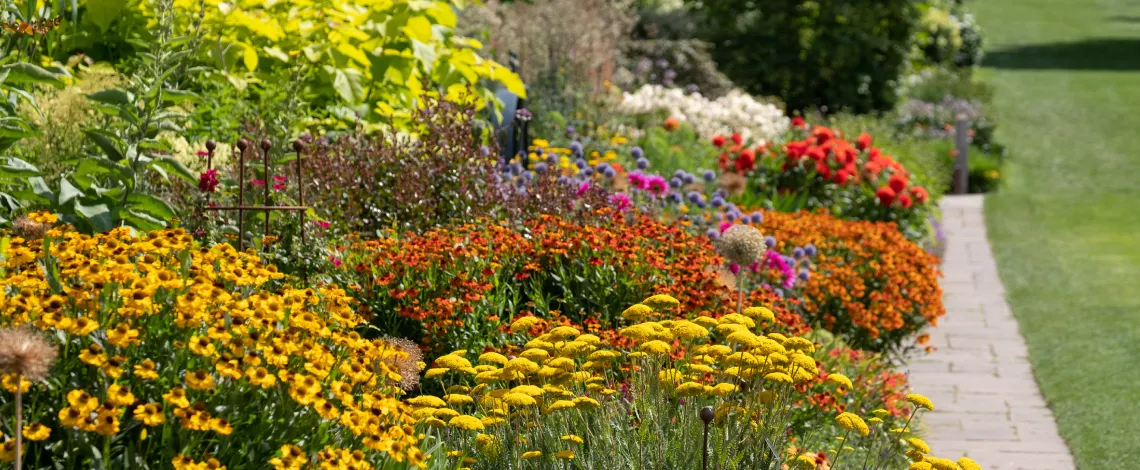 flower beds treatments