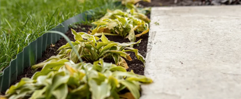 preparing flower beds for winter