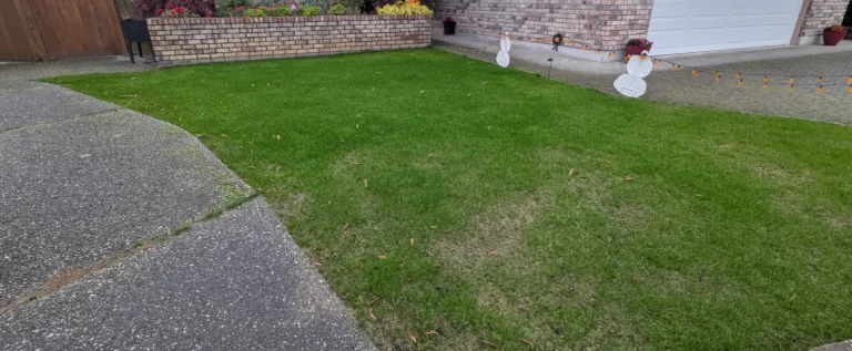 How Do I Determine the Right Landscape Maintenance Frequency for My Property? bi weekly landscape maintenance for wa properties