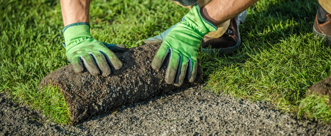 lawn renovation services in everret