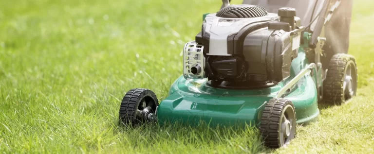 How Often Should I Schedule Lawn Mowing for My Property? schedule lawn mowing