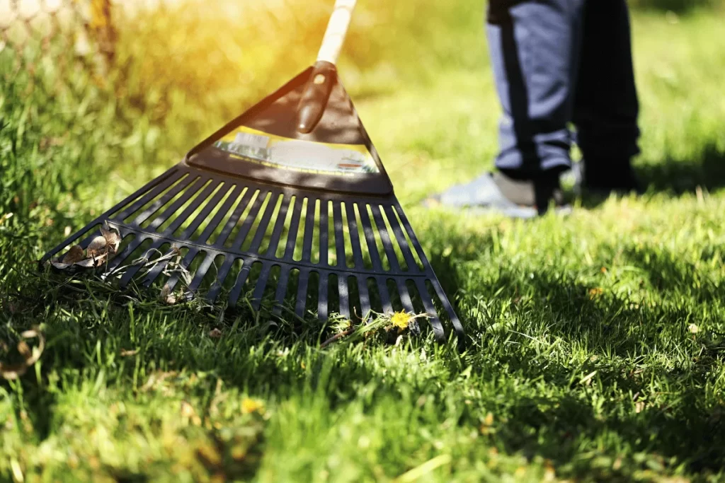 everett fall lawn landscape cleanup checklist