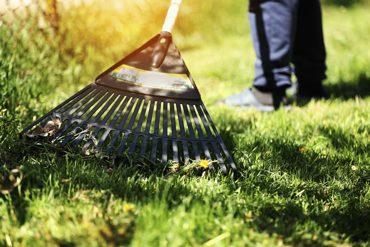 everett fall lawn landscape cleanup checklist