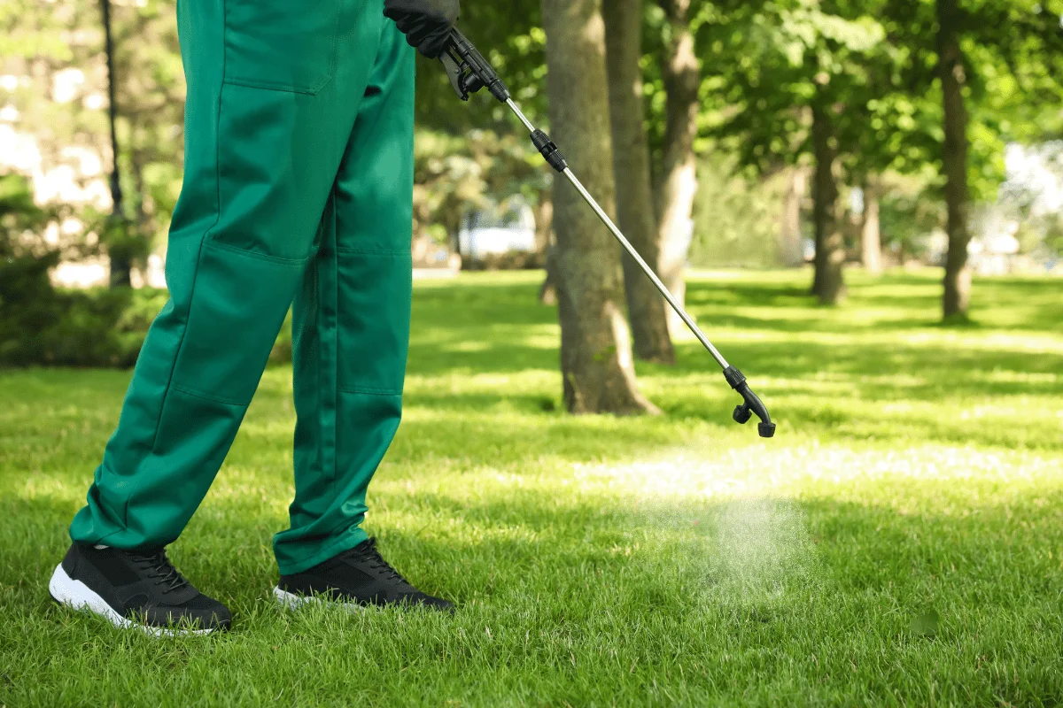 lawn care calendar for the pacific northwest