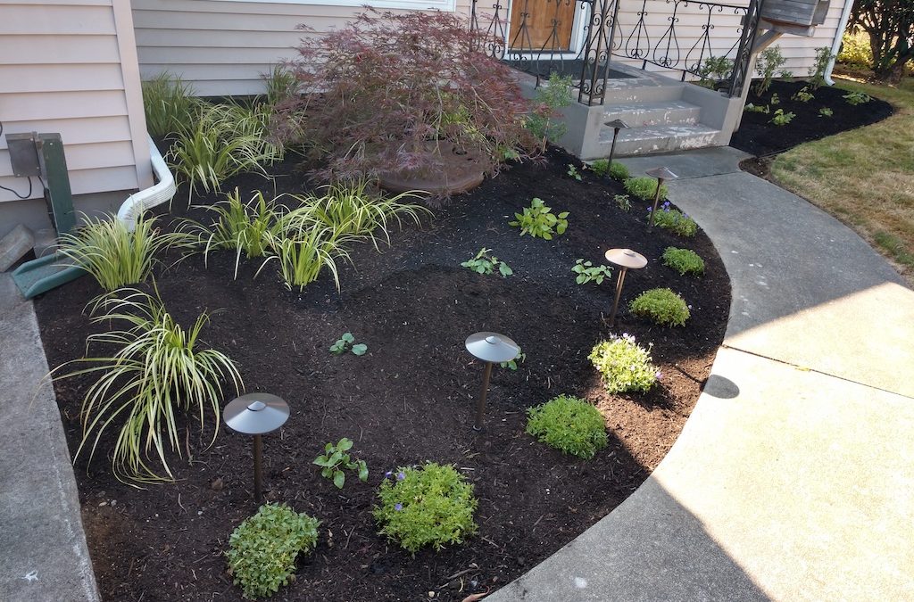 Landscape design in the front yard of a residence in Everett, WA